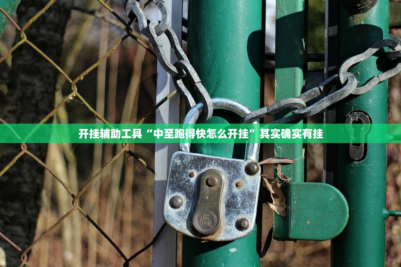 软件分享“天乐联盟手机挂在线下载”(辅助神器)开挂详细教程