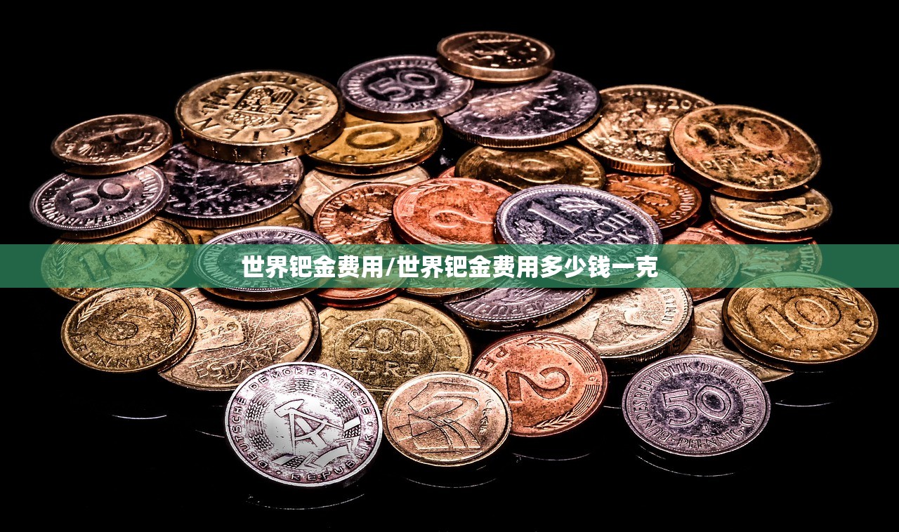 世界钯金费用/世界钯金费用多少钱一克