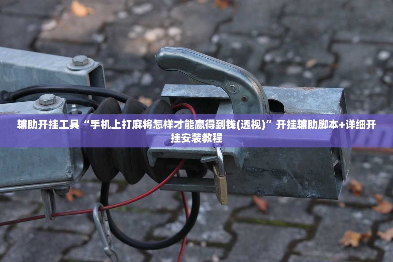 辅助开挂工具“手机上打麻将怎样才能赢得到钱(透视)”开挂辅助脚本+详细开挂安装教程