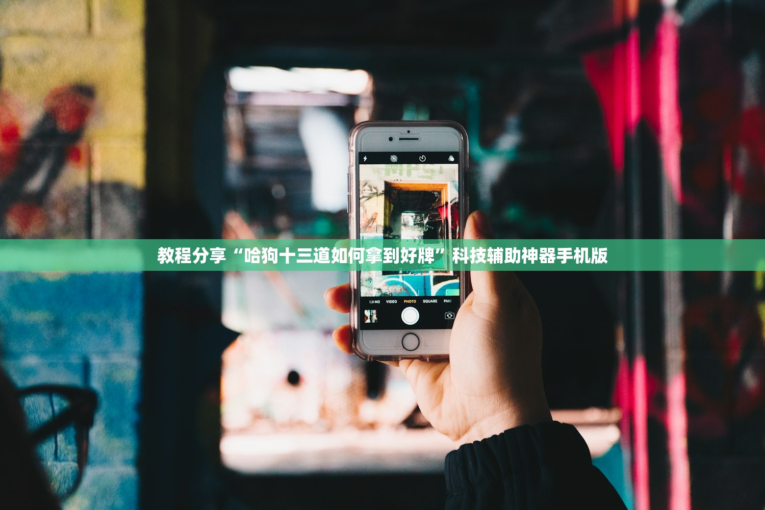 教程分享“哈狗十三道如何拿到好牌”科技辅助神器手机版