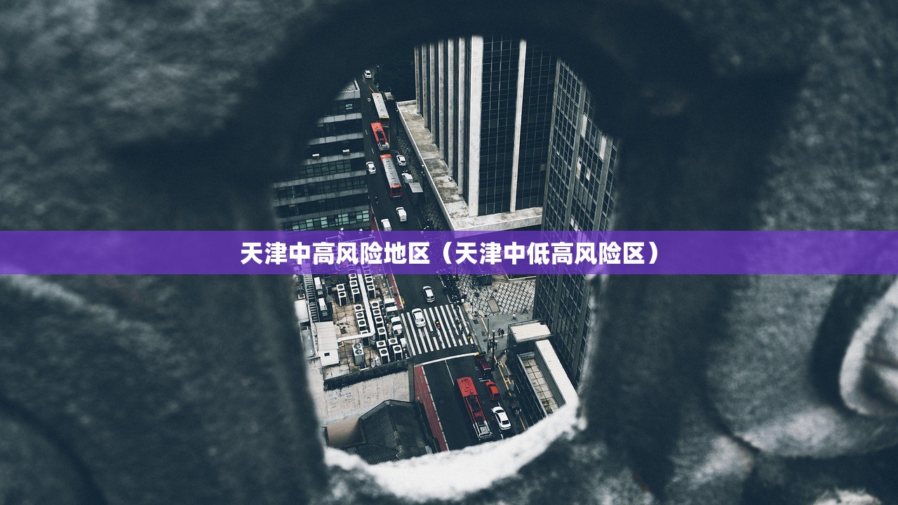天津中高风险地区（天津中低高风险区）