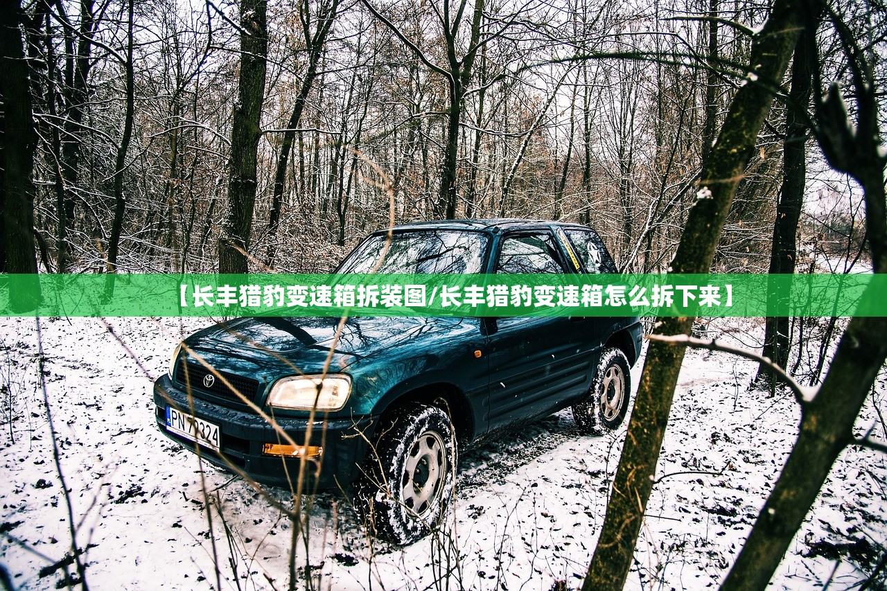 【长丰猎豹变速箱拆装图/长丰猎豹变速箱怎么拆下来】