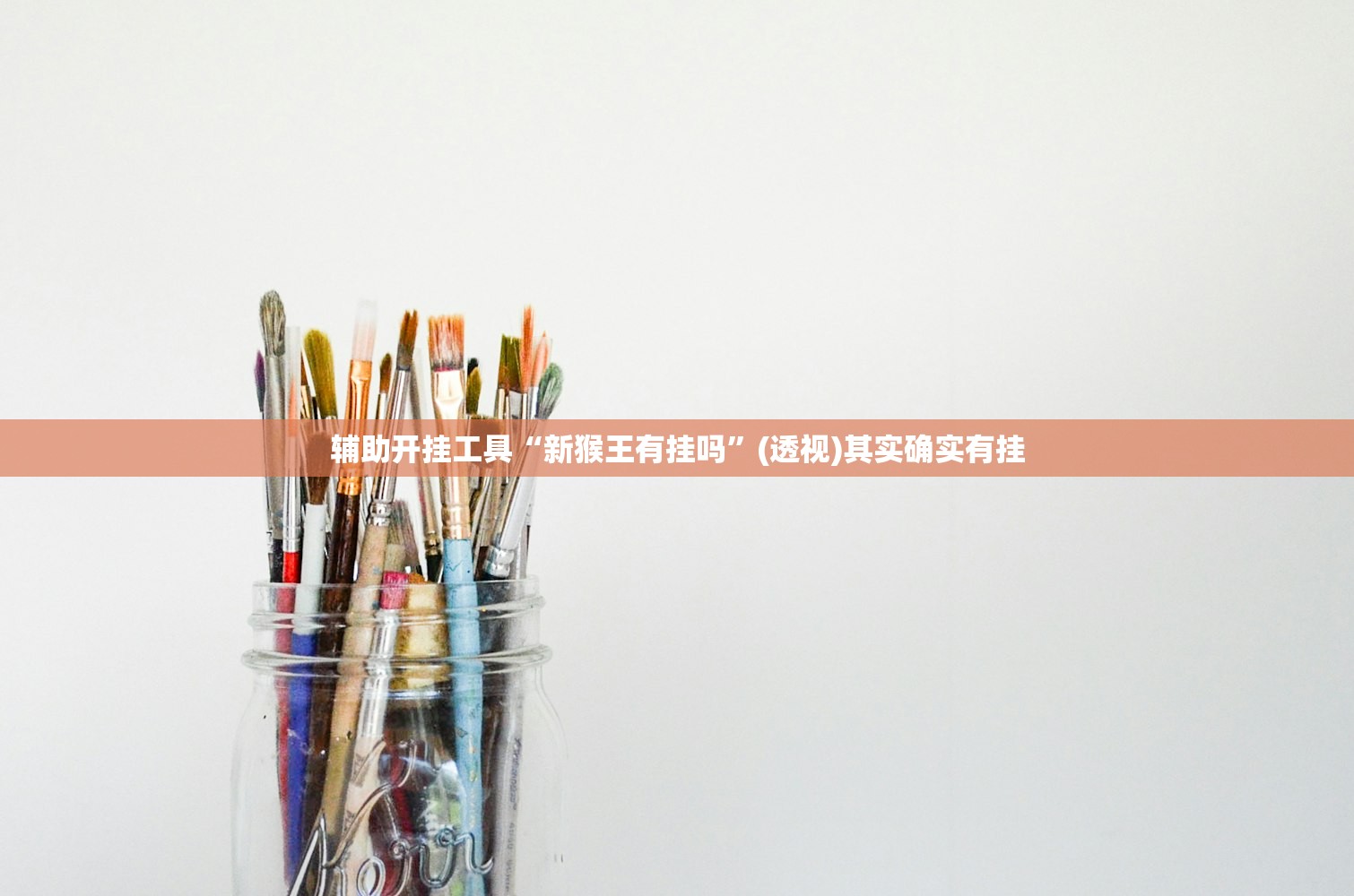 辅助开挂工具“新猴王有挂吗”(透视)其实确实有挂