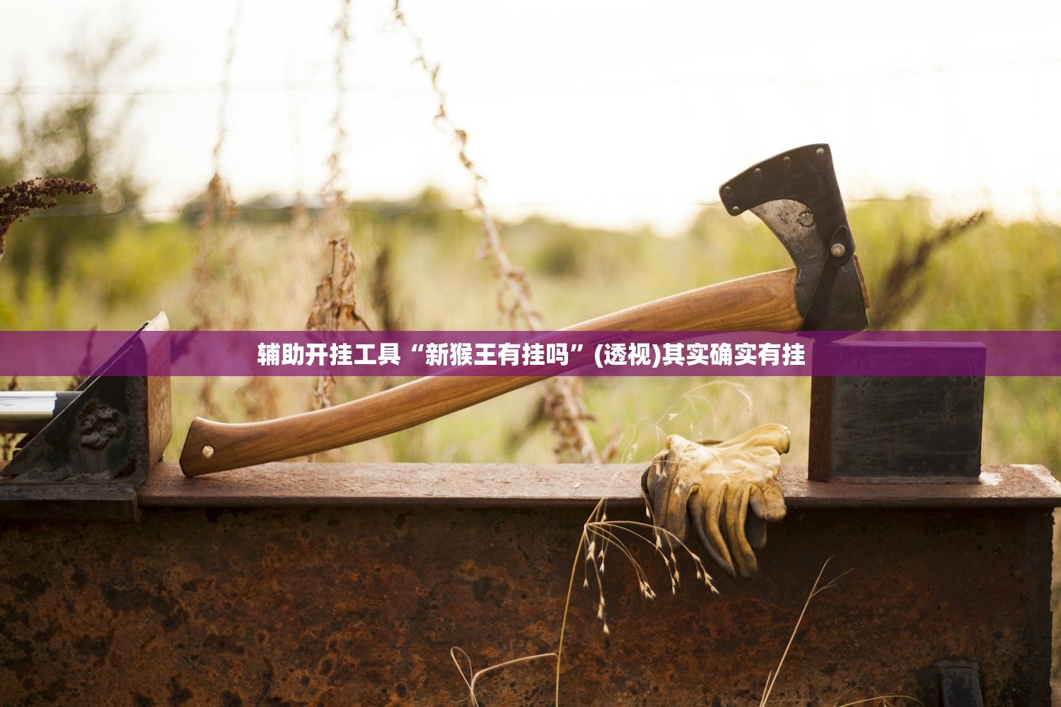 辅助开挂工具“新猴王有挂吗	”(透视)其实确实有挂