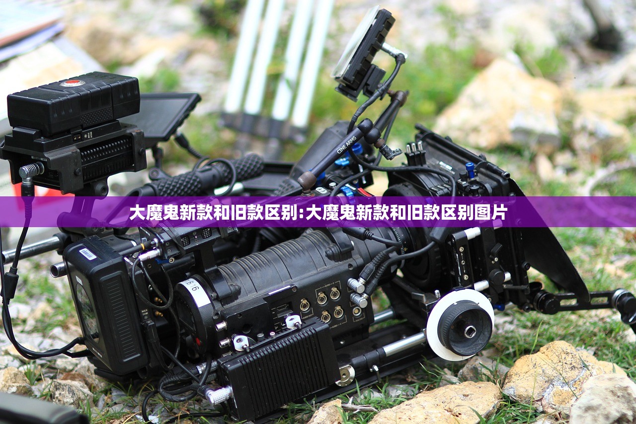 全国唯一零感染城市/中国新冠病毒零感染的城市