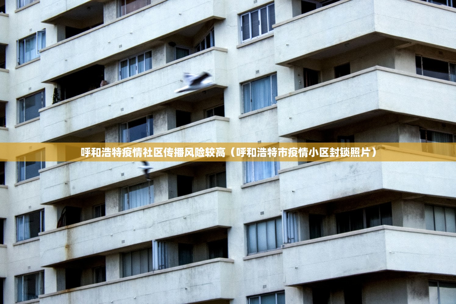呼和浩特疫情社区传播风险较高（呼和浩特市疫情小区封锁照片）