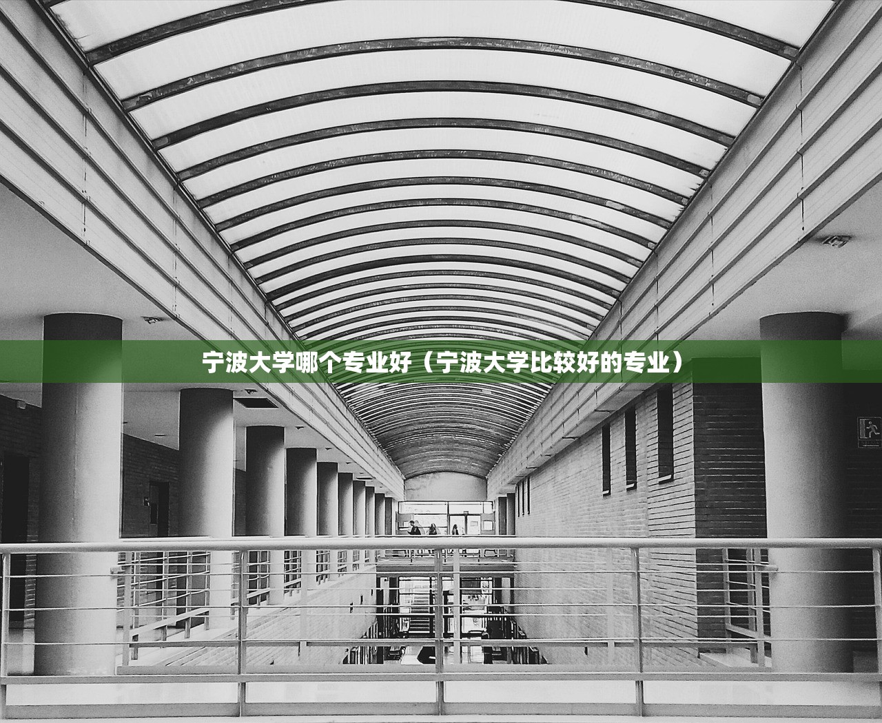 宁波大学哪个专业好（宁波大学比较好的专业）