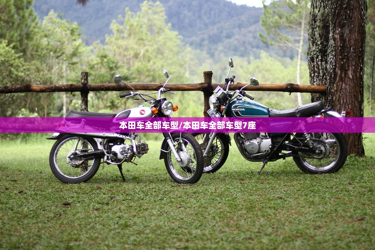 辅助神器“嘟嘟十三张提高胜率”(辅助神器)开挂详细教程