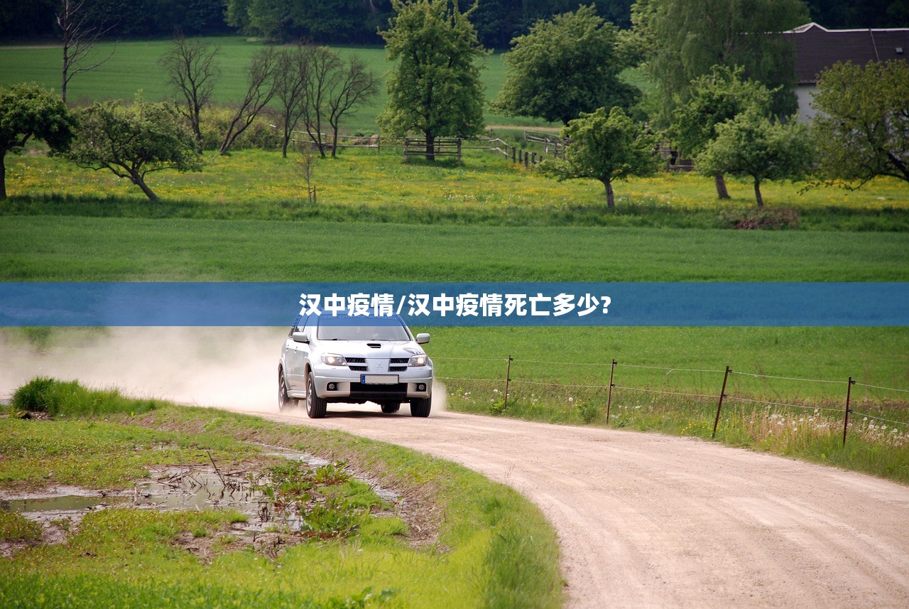 汉中疫情/汉中疫情死亡多少?