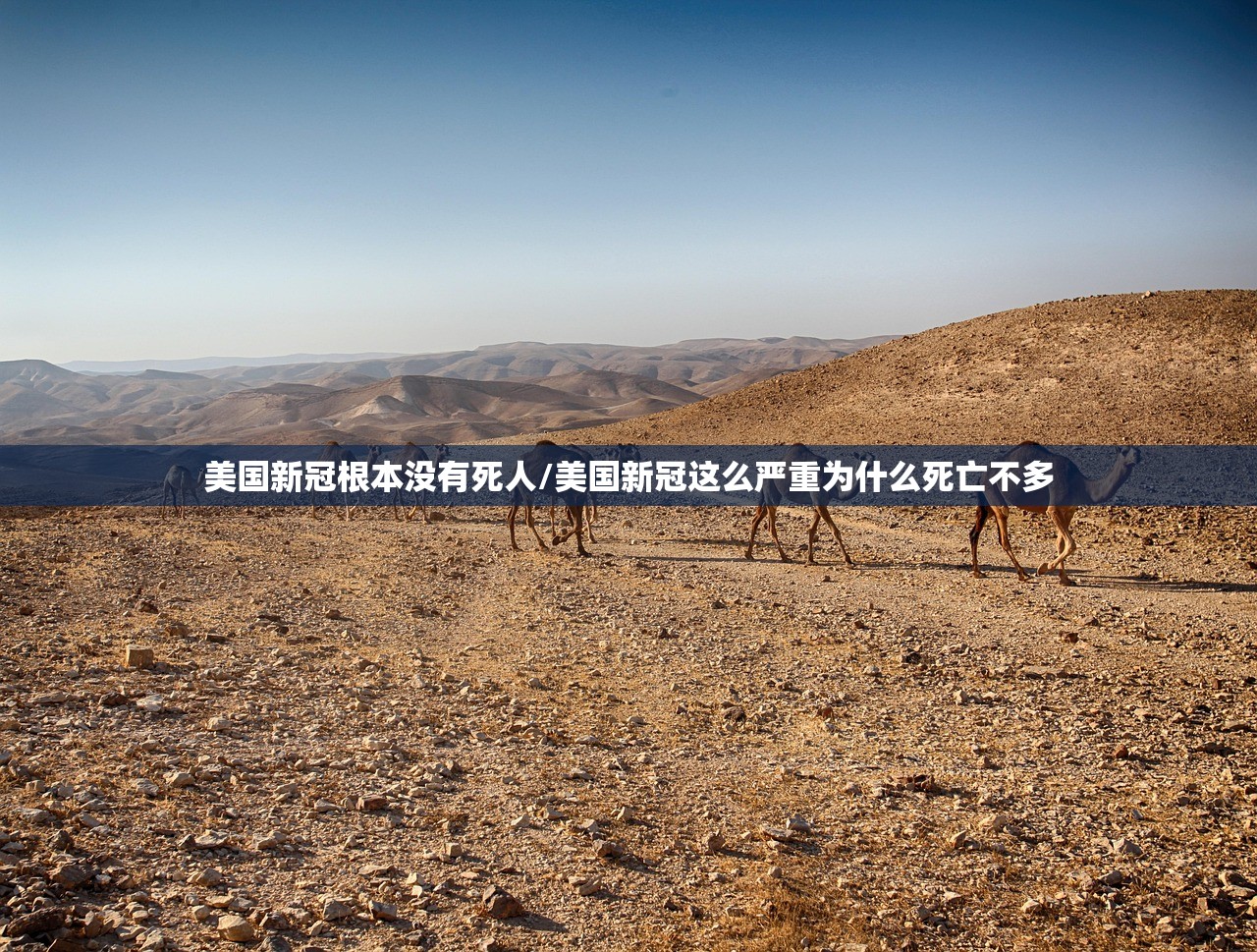 美国新冠根本没有死人/美国新冠这么严重为什么死亡不多 美国新冠根本没有死人/美国新冠这么严重为什么死亡不多