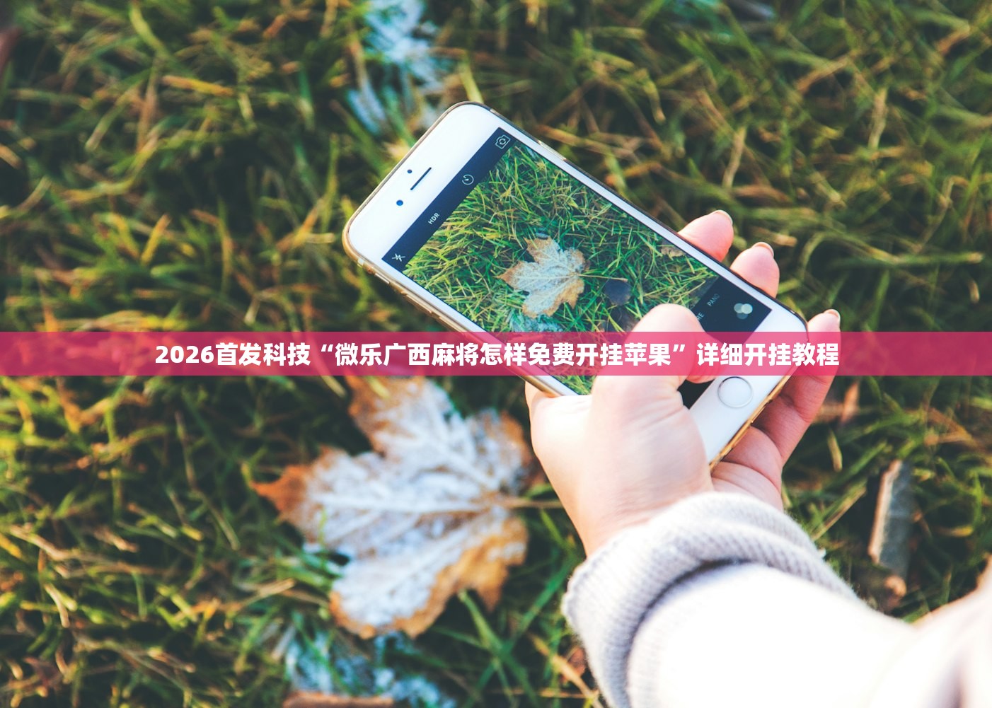 教程分享“微乐跑得快记牌器怎么用”科技辅助神器手机版