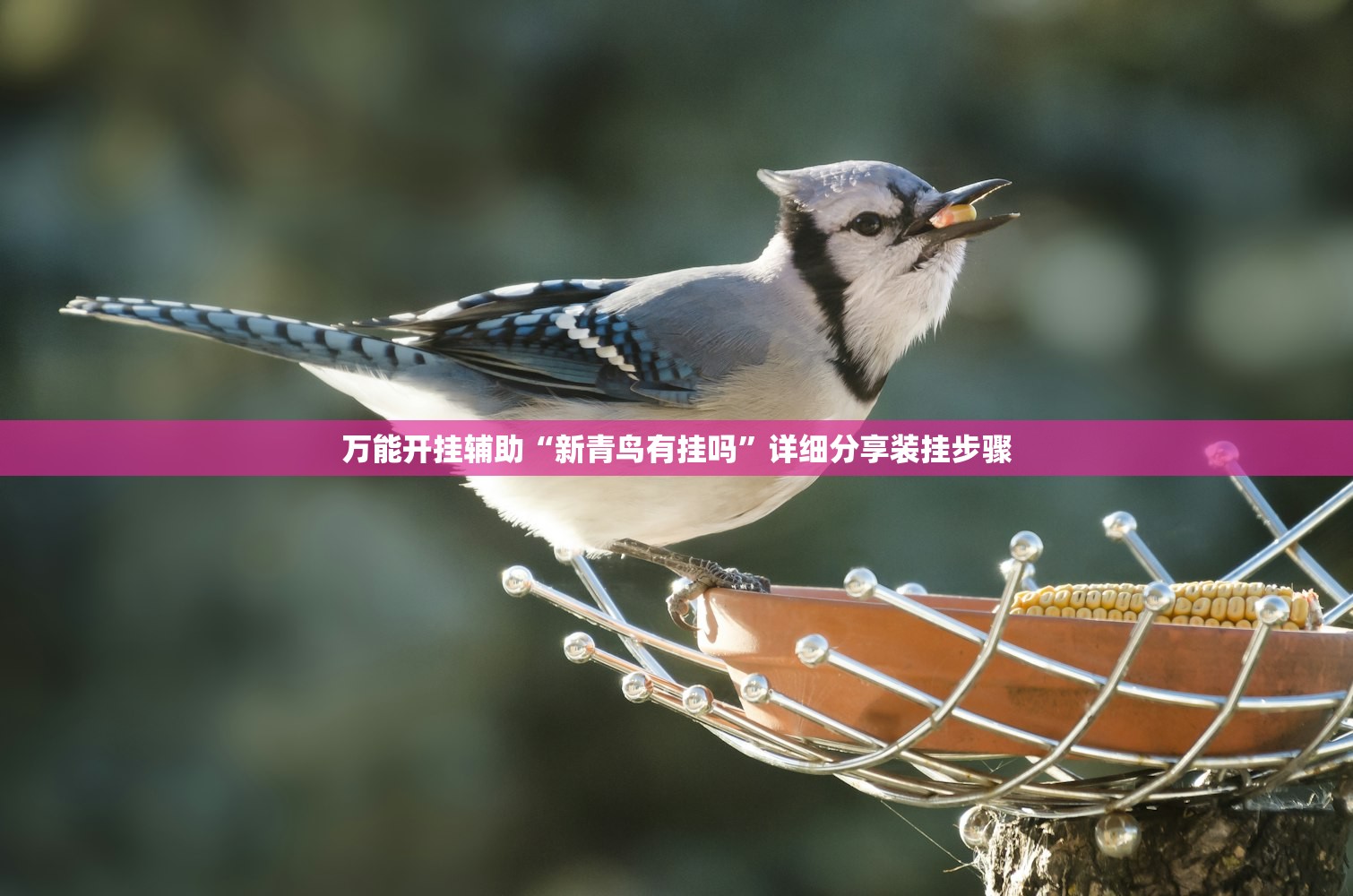 【江苏宿迁疫情最新消息/江苏宿迁肺炎最新消息】