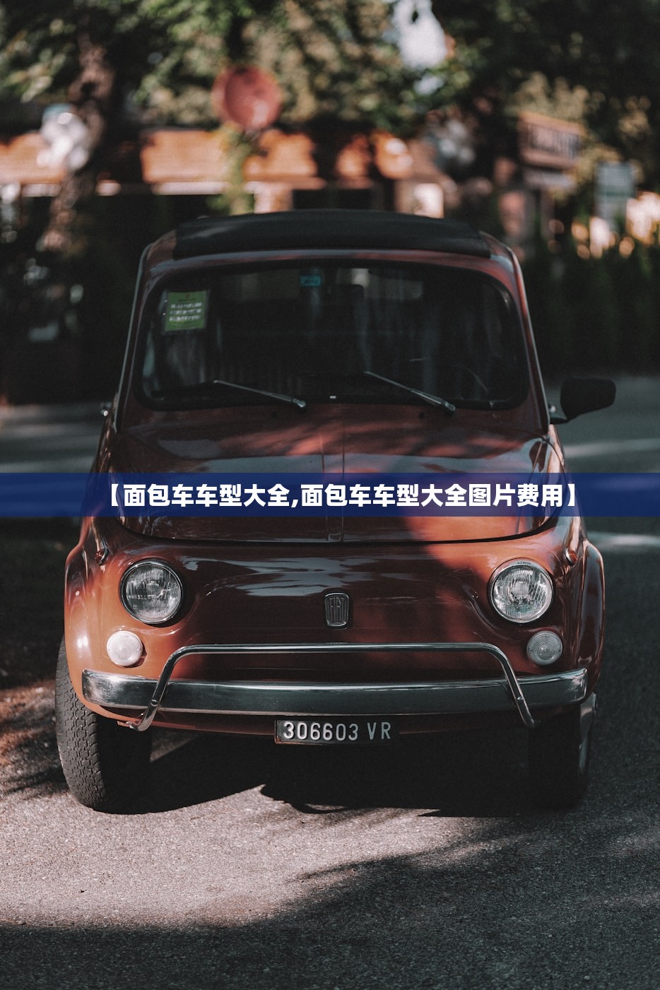 【面包车车型大全,面包车车型大全图片费用】