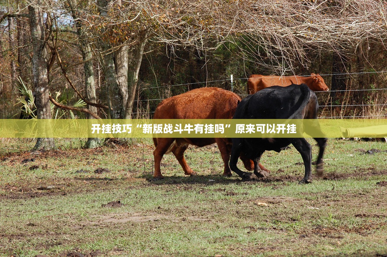 开挂技巧“新版战斗牛有挂吗”原来可以开挂