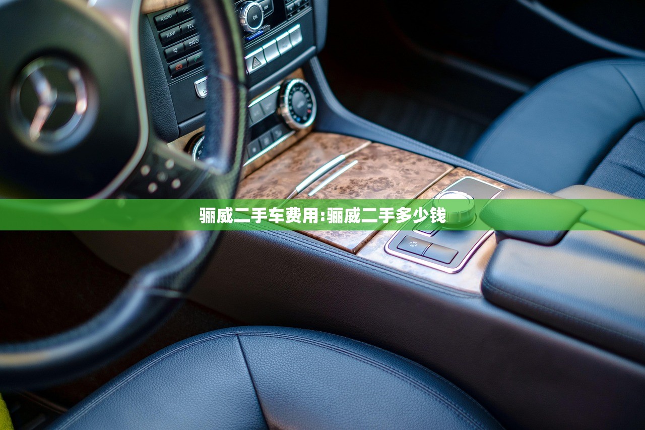 骊威二手车费用:骊威二手多少钱 骊威二手车费用:骊威二手多少钱