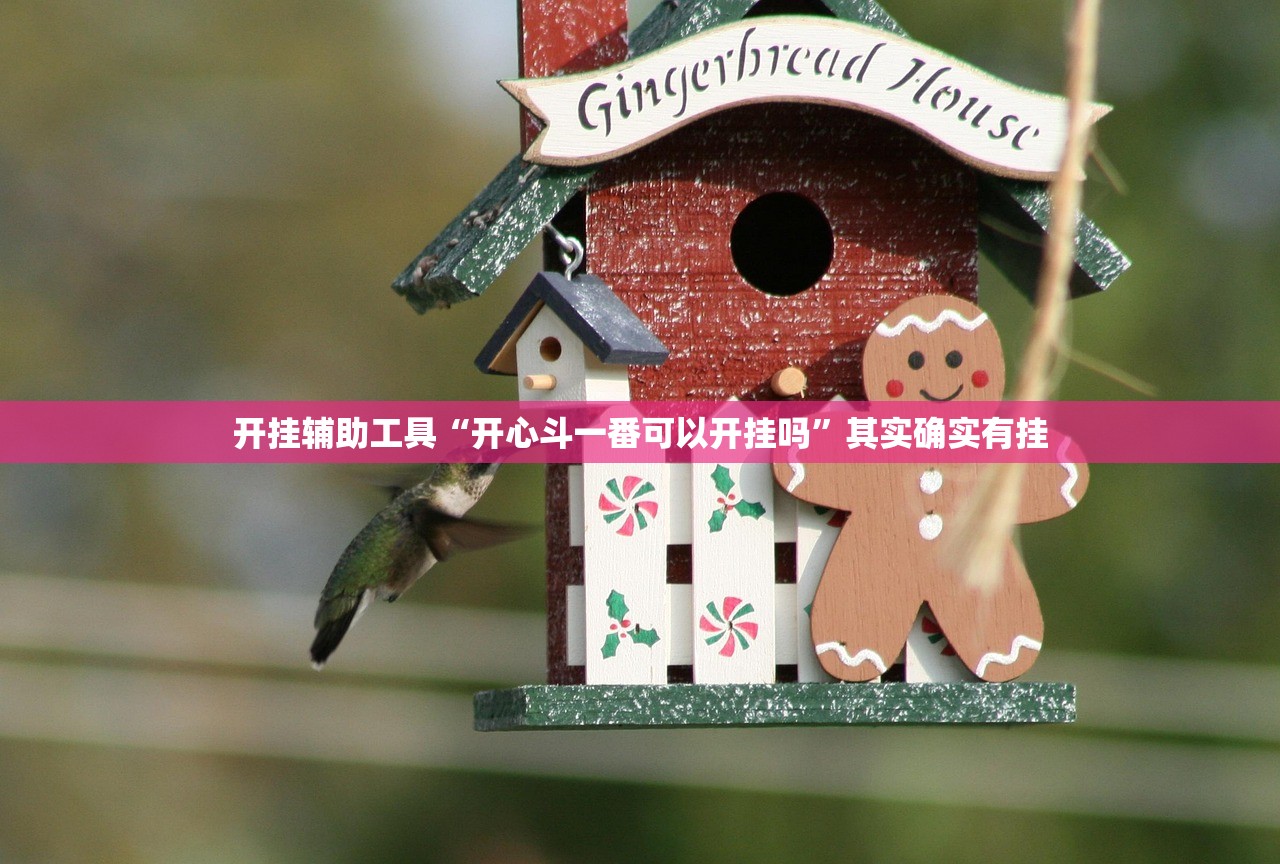 开挂辅助工具“开心斗一番可以开挂吗”其实确实有挂