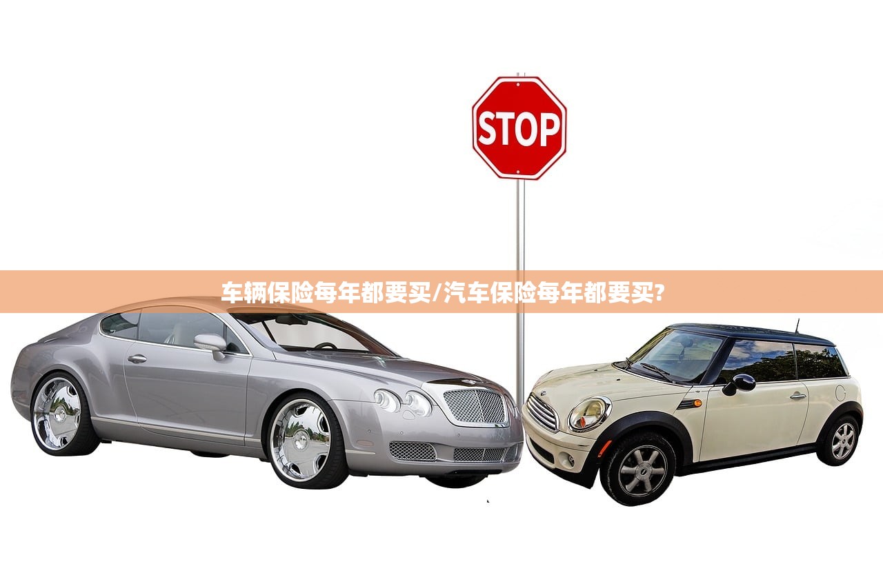 车辆保险每年都要买/汽车保险每年都要买?