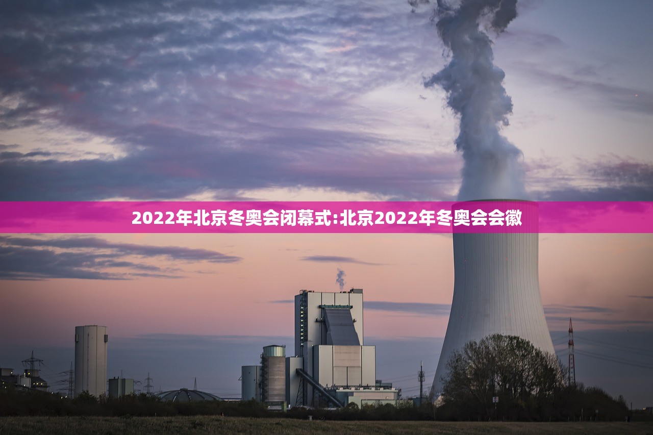 2022年北京冬奥会闭幕式:北京2022年冬奥会会徽