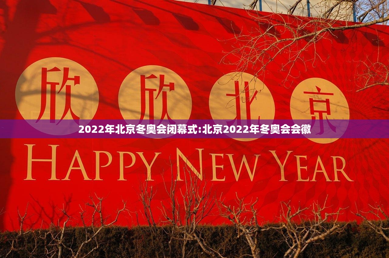 2022年北京冬奥会闭幕式:北京2022年冬奥会会徽