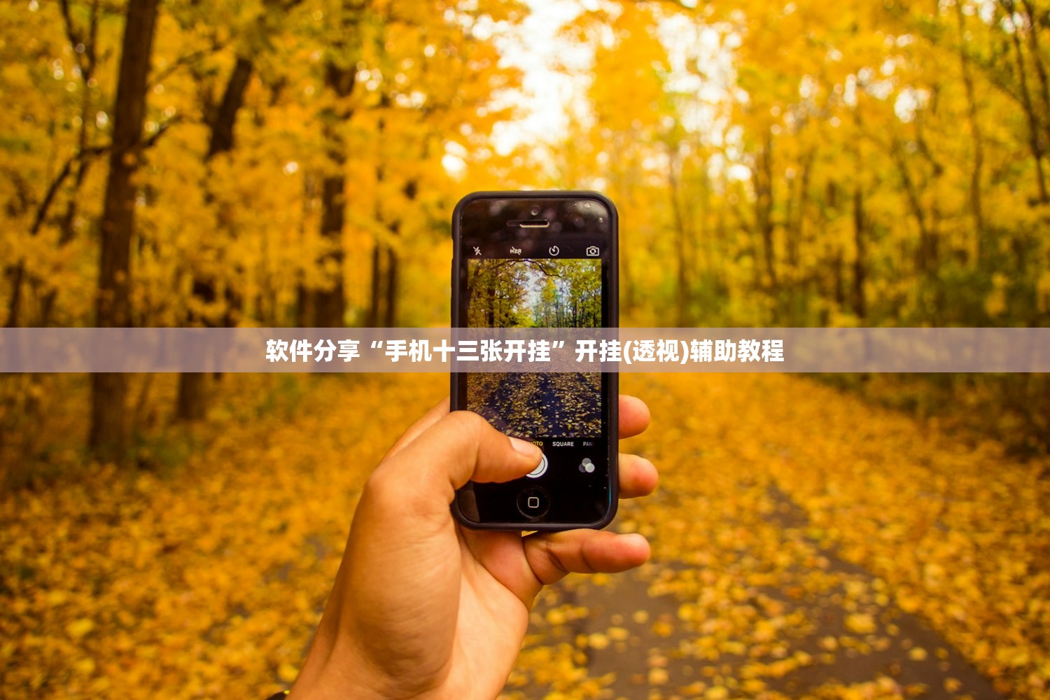 31省新增10例确诊均为境外输入/31省区市新增20例确诊均为境外输入