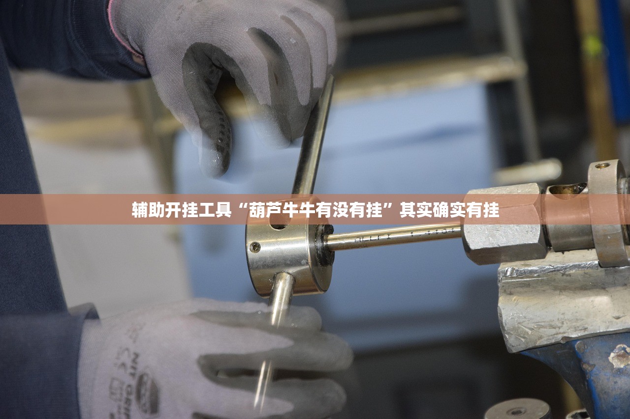 软件分享“人人互娱有挂是真的吗”详细分享装挂步骤