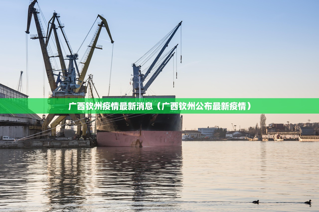 广西钦州疫情最新消息（广西钦州公布最新疫情）