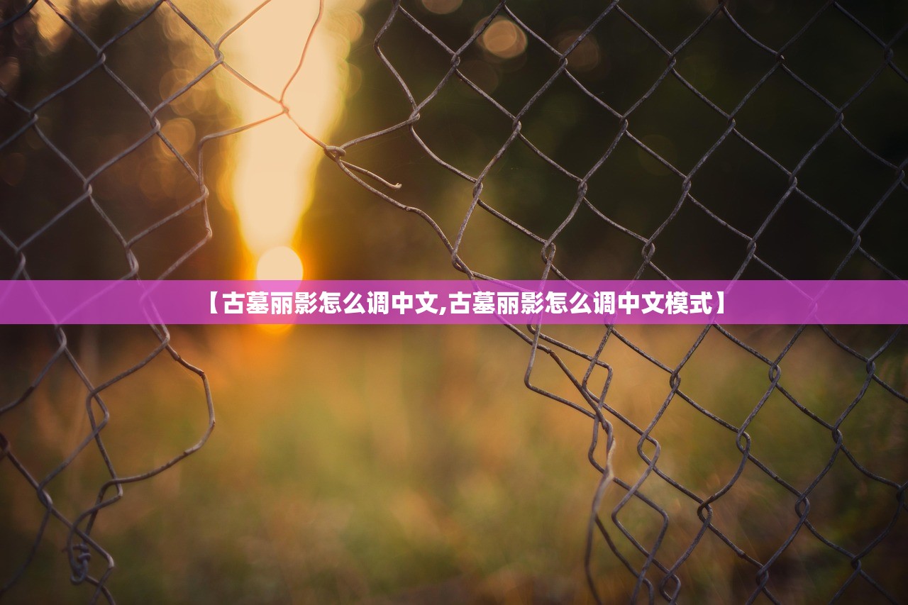 【古墓丽影怎么调中文,古墓丽影怎么调中文模式】