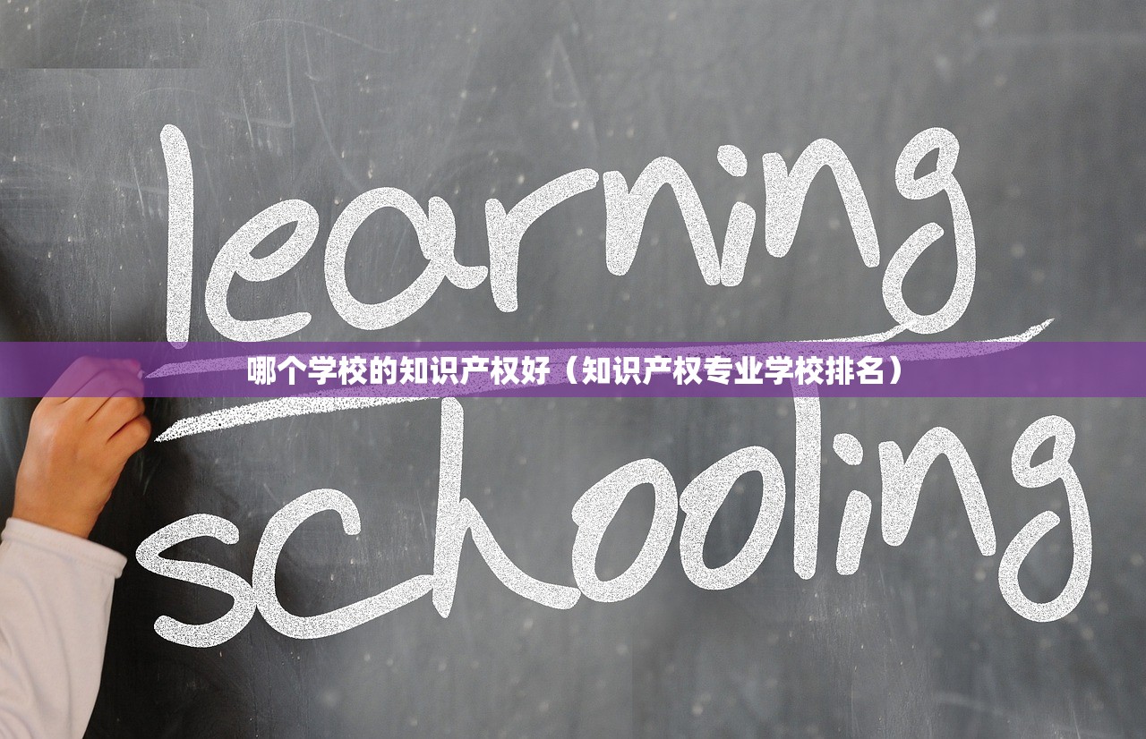 哪个学校的知识产权好（知识产权专业学校排名）