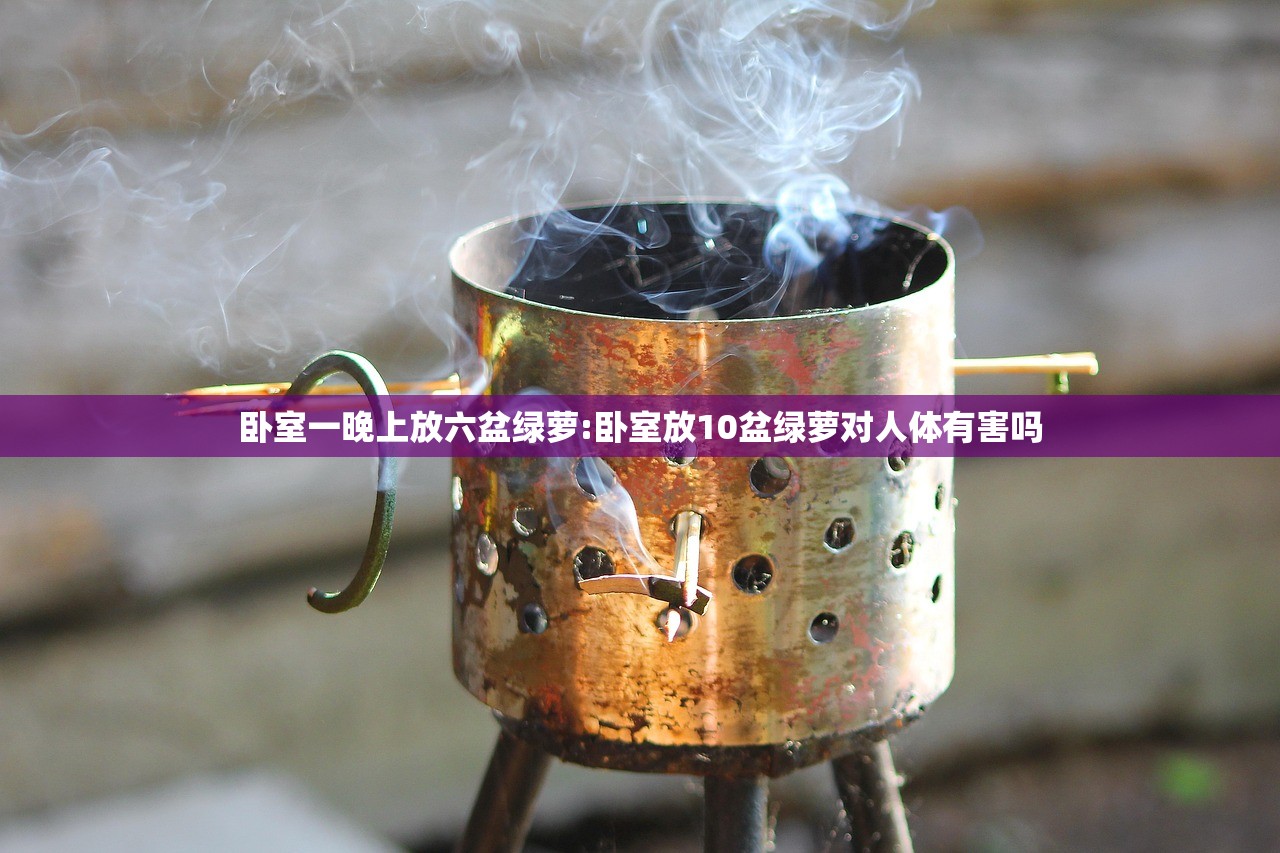 卧室一晚上放六盆绿萝:卧室放10盆绿萝对人体有害吗 卧室一晚上放六盆绿萝:卧室放10盆绿萝对人体有害吗