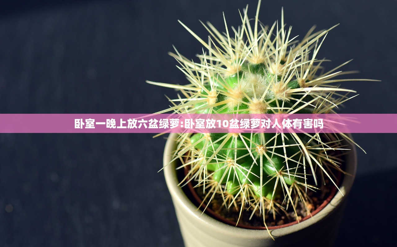 卧室一晚上放六盆绿萝:卧室放10盆绿萝对人体有害吗 卧室一晚上放六盆绿萝:卧室放10盆绿萝对人体有害吗