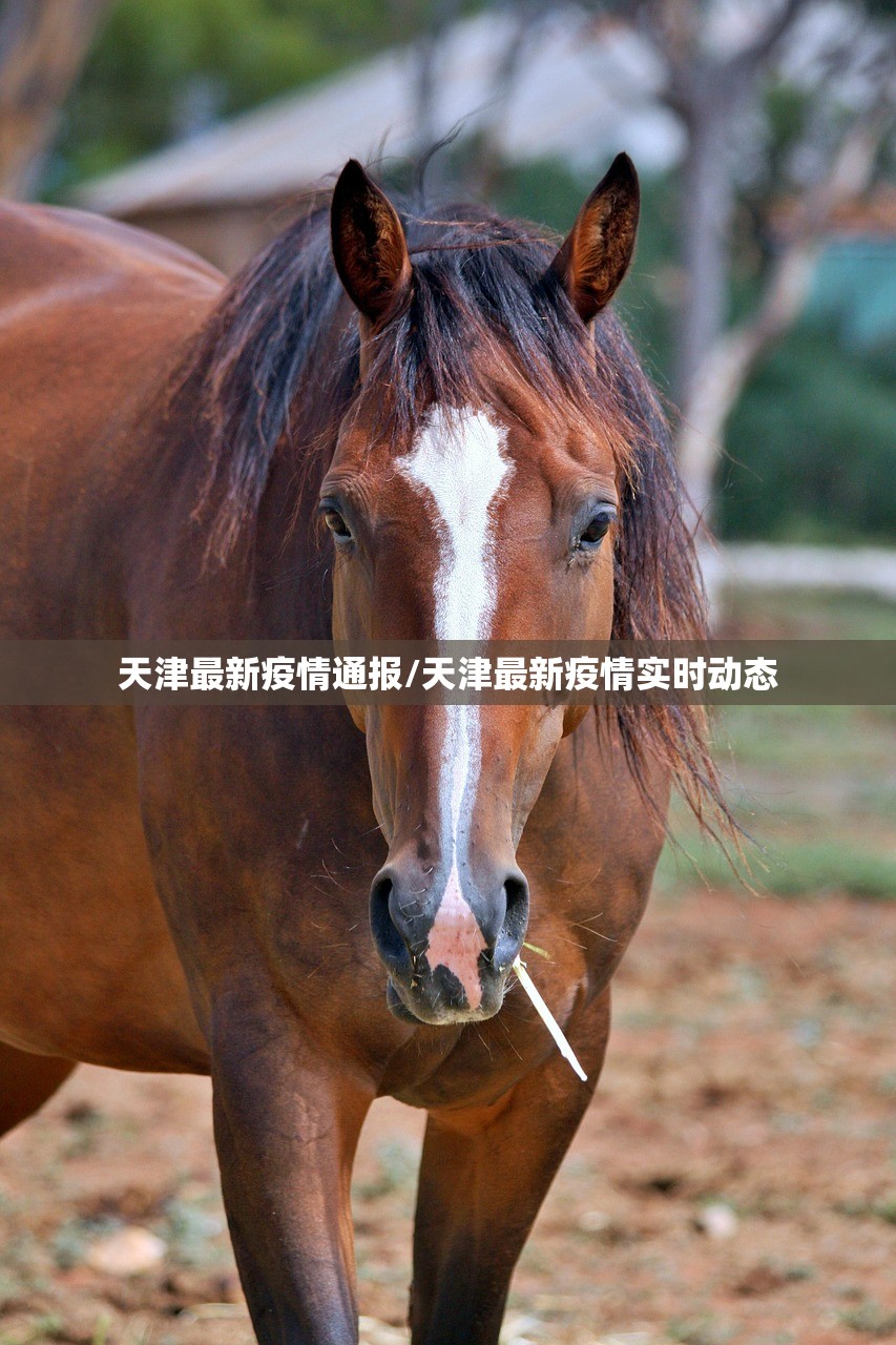 天津最新疫情通报/天津最新疫情实时动态 天津最新疫情通报/天津最新疫情实时动态