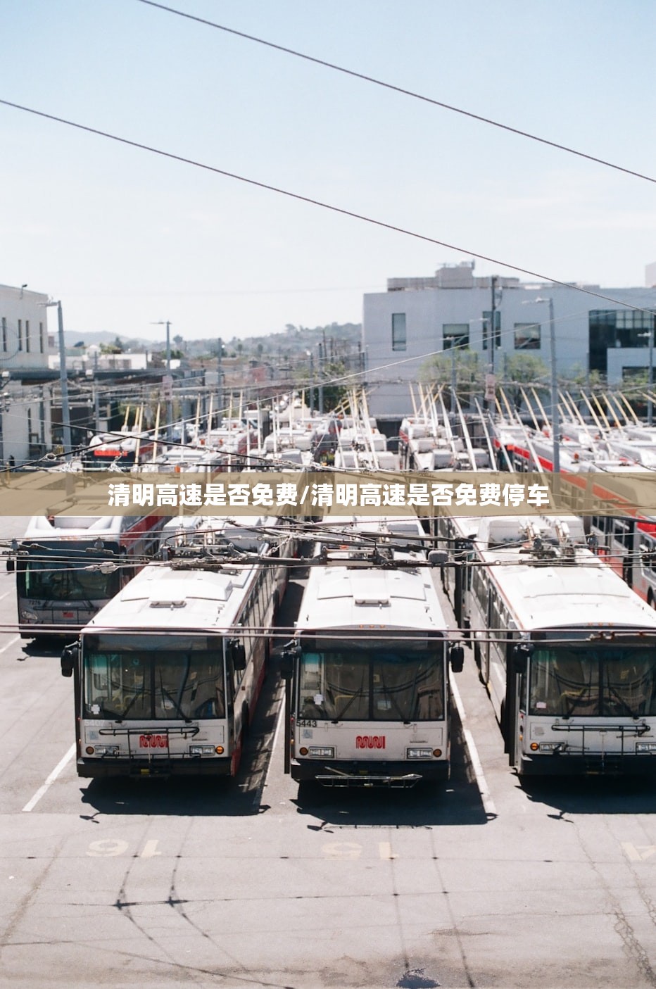 清明高速是否免费/清明高速是否免费停车