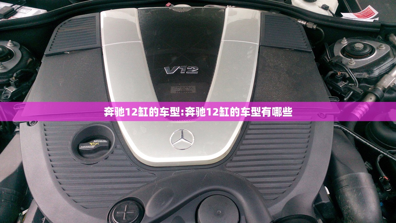 奔驰12缸的车型:奔驰12缸的车型有哪些