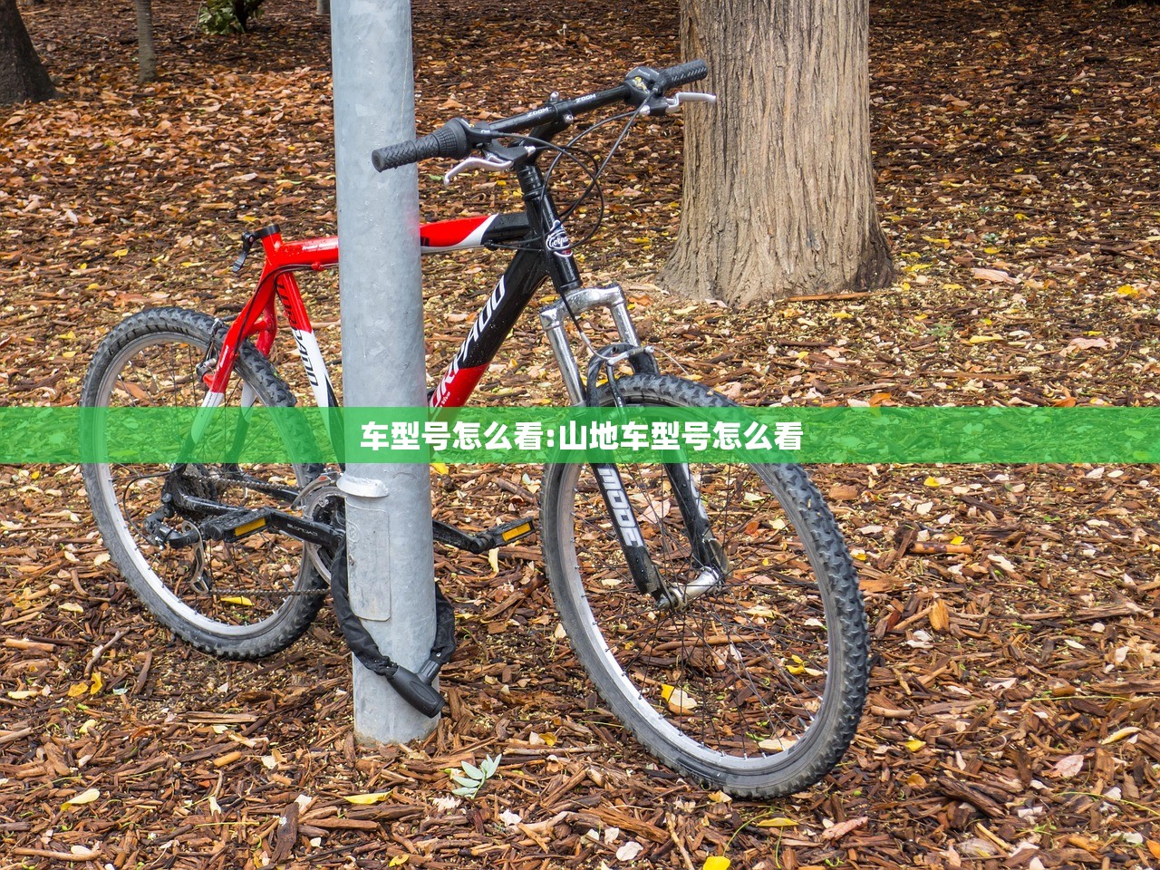车型号怎么看:山地车型号怎么看