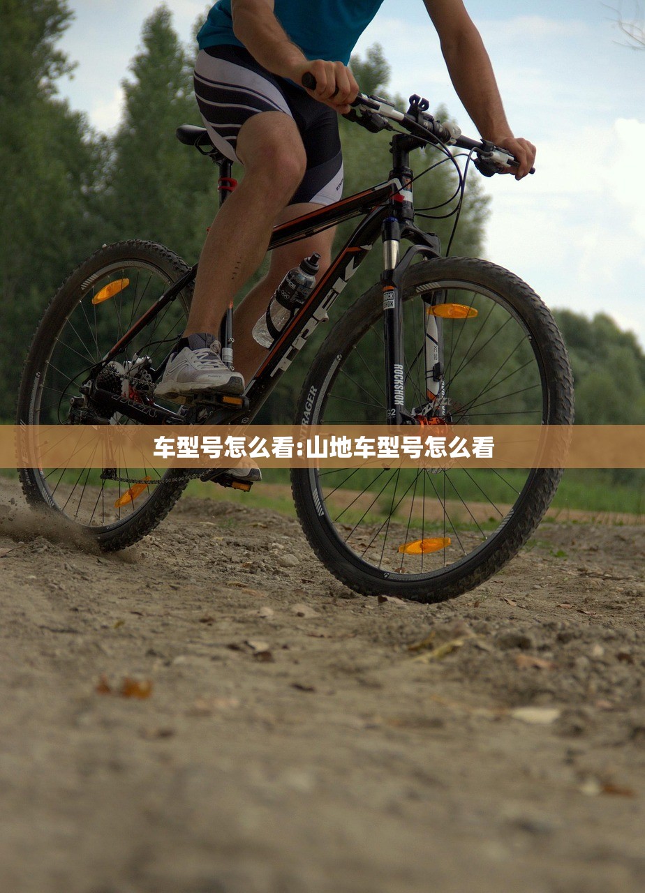 车型号怎么看:山地车型号怎么看