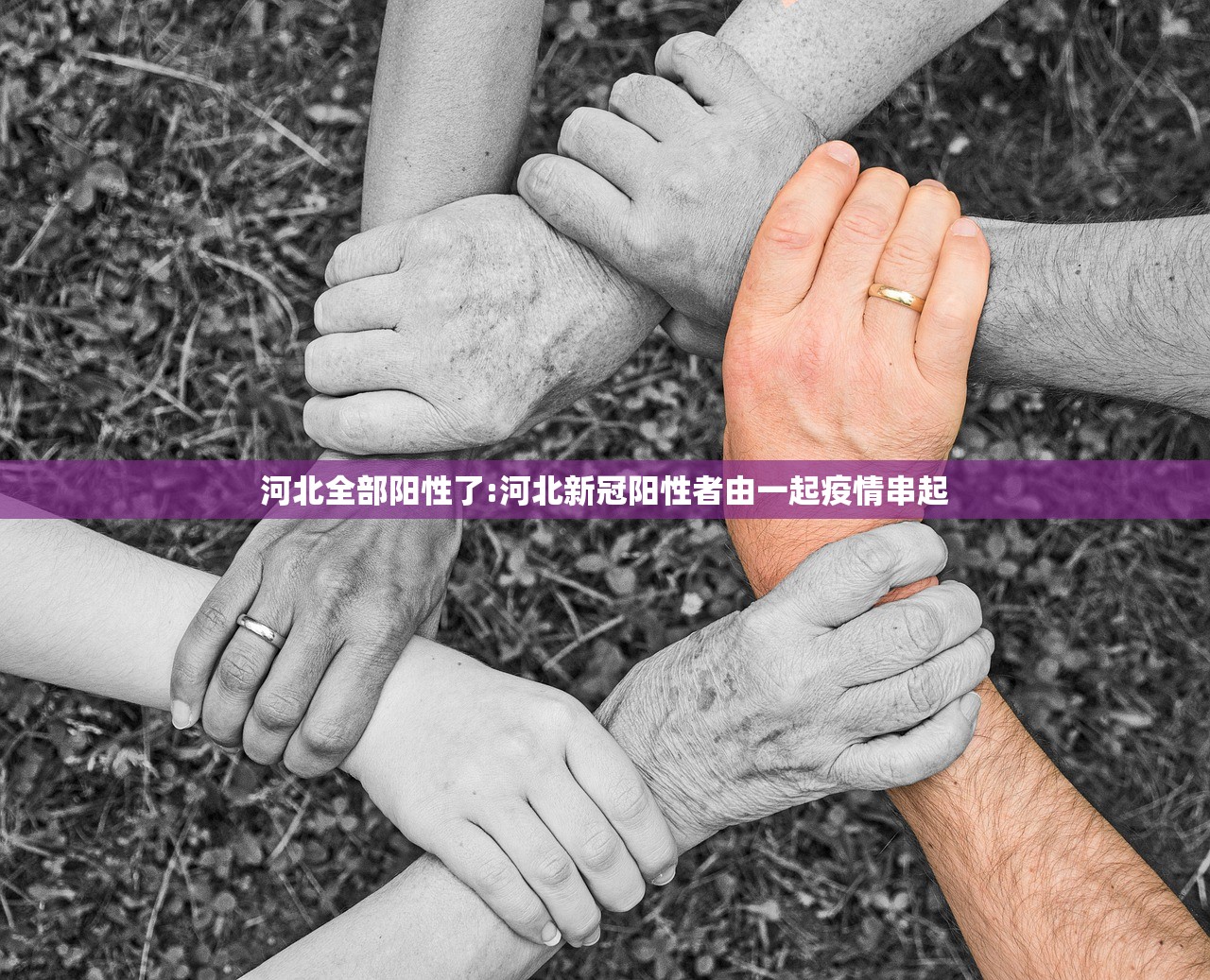 河北全部阳性了:河北新冠阳性者由一起疫情串起