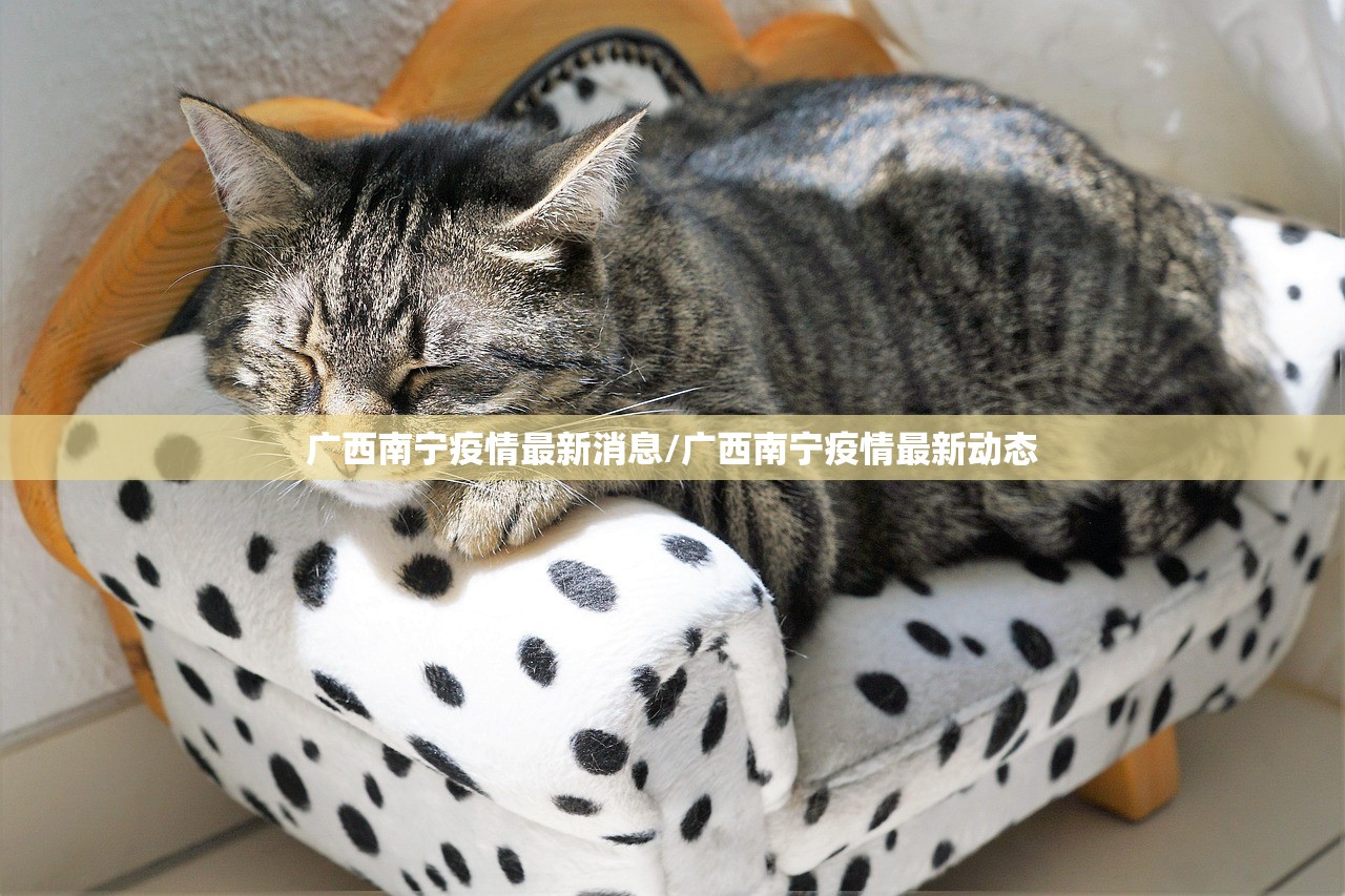 广西南宁疫情最新消息/广西南宁疫情最新动态 广西南宁疫情最新消息/广西南宁疫情最新动态