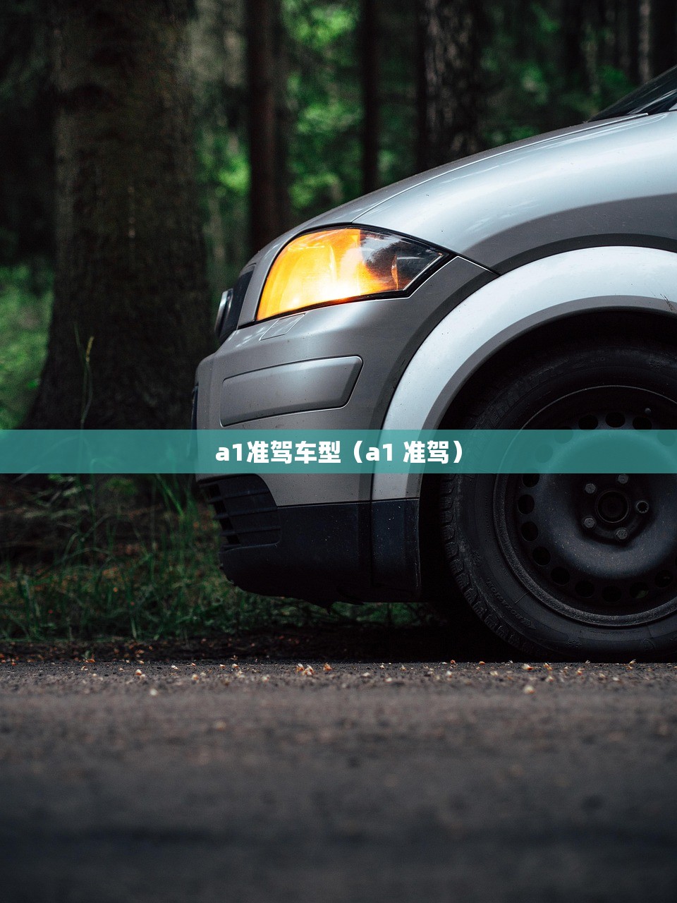 a1准驾车型（a1 准驾）