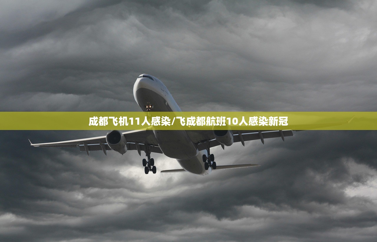 成都飞机11人感染/飞成都航班10人感染新冠