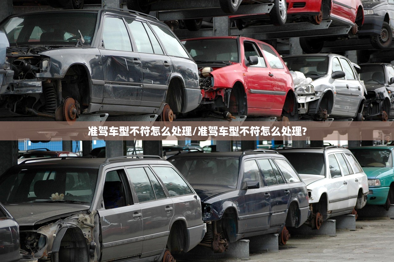 准驾车型不符怎么处理/准驾车型不符怎么处理?