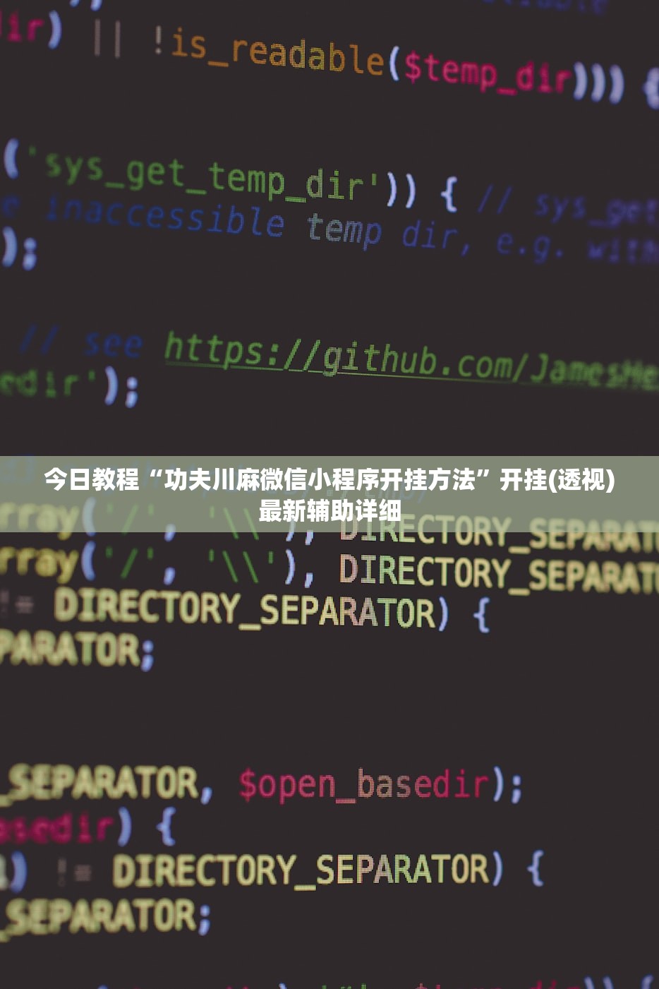 今日教程“功夫川麻微信小程序开挂方法”开挂(透视)最新辅助详细