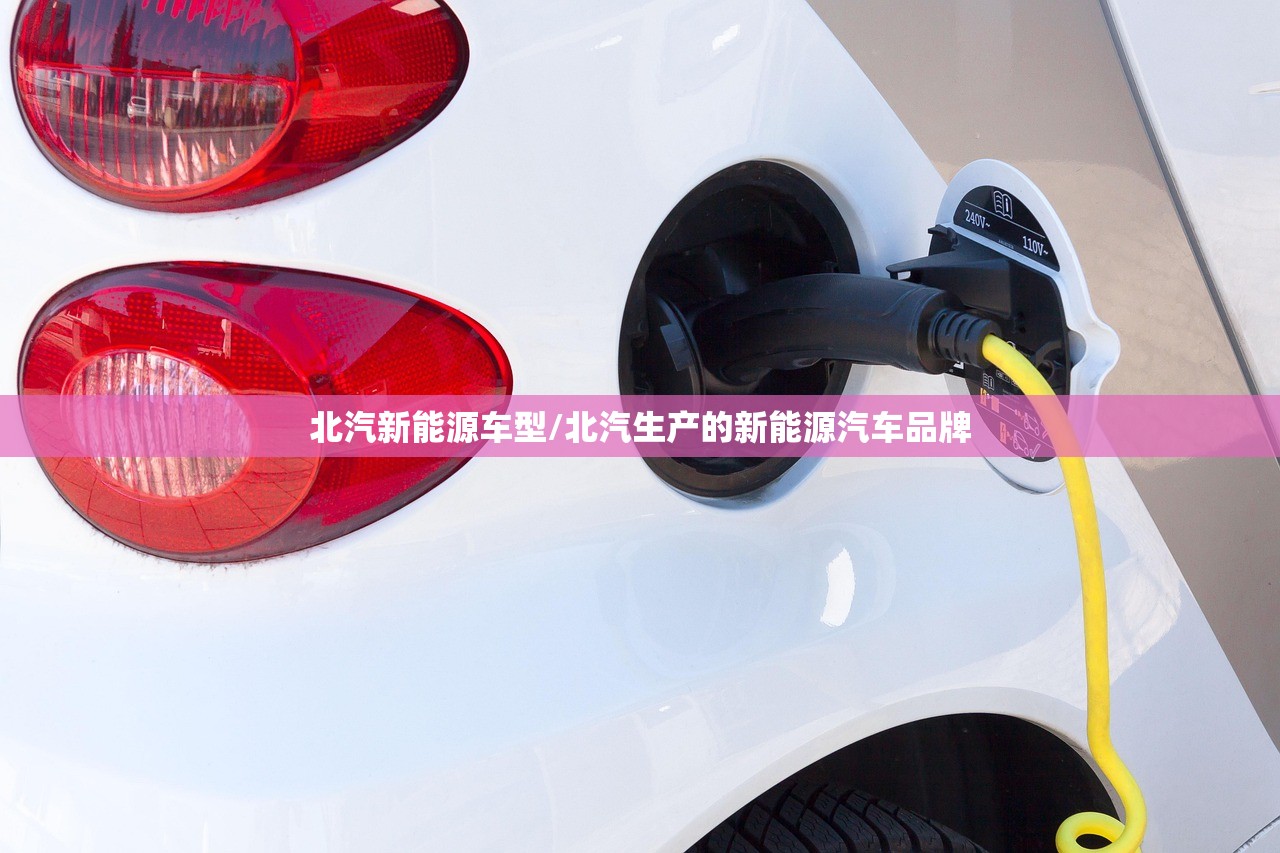 北汽新能源车型/北汽生产的新能源汽车品牌