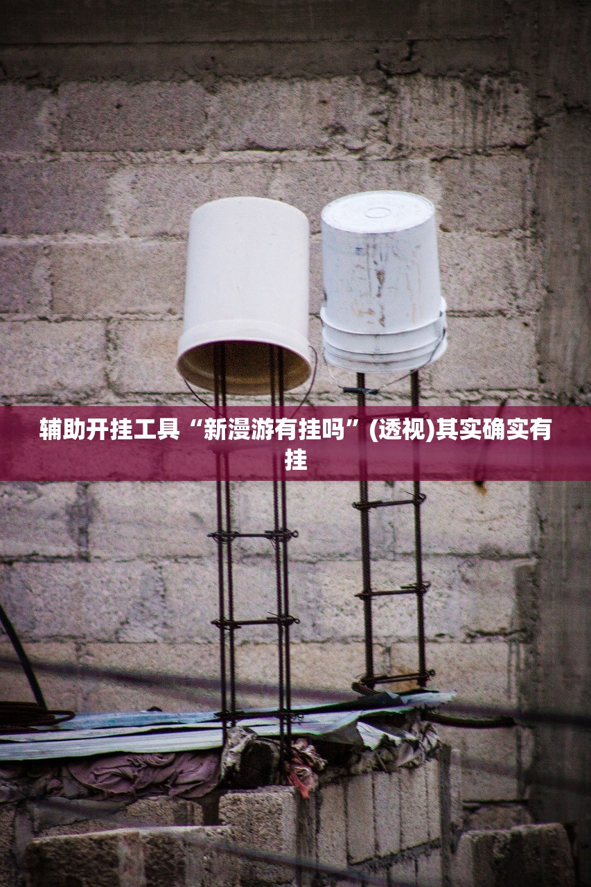 辅助开挂工具“新漫游有挂吗”(透视)其实确实有挂