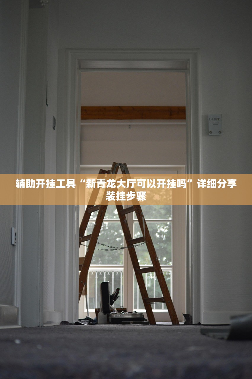 推荐一款“家乡大二透视”(辅助神器)开挂详细教程