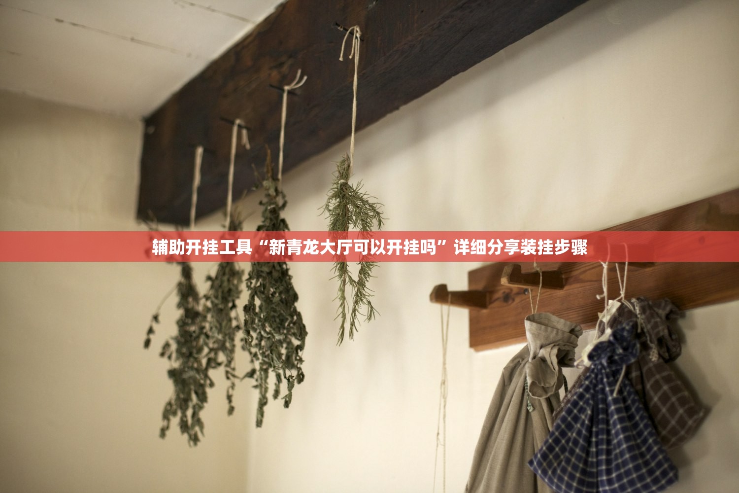 辅助开挂工具“新青龙大厅可以开挂吗”详细分享装挂步骤
