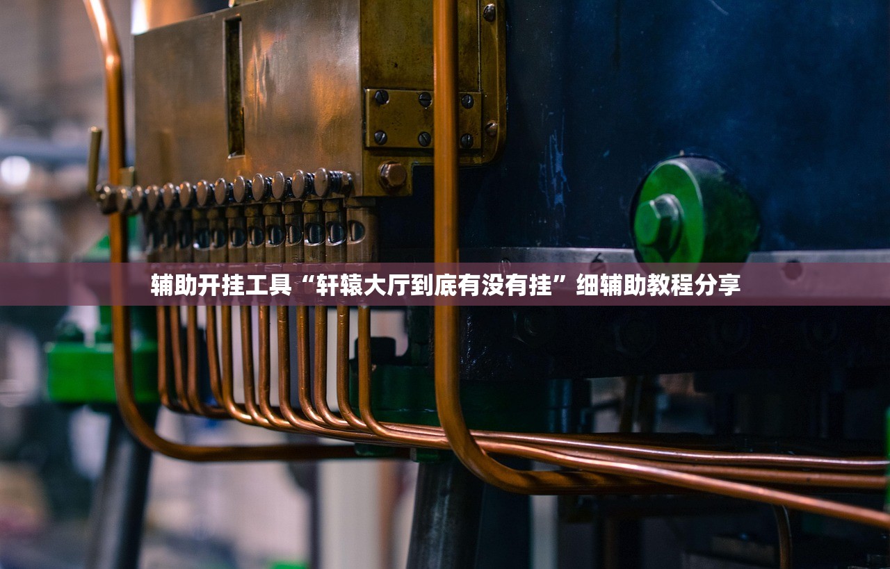 玩家辅助神器：玉溪娱乐室有挂吗”开挂辅助脚本+详细开挂安装教程