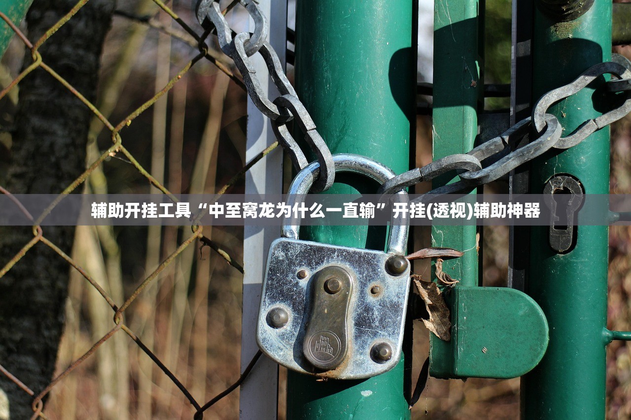 辅助开挂工具“中至窝龙为什么一直输”开挂(透视)辅助神器