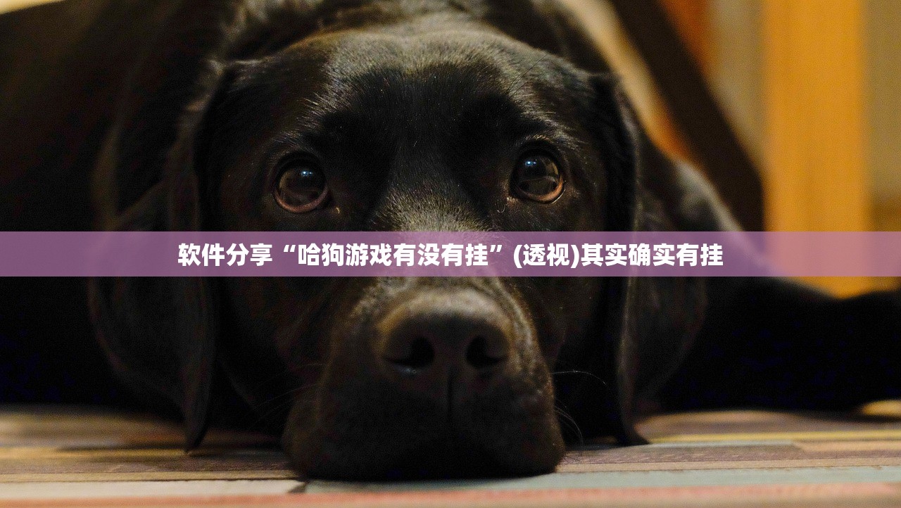 辅助神器“手机打牌一直输钱怎么转运”(透视挂)辅助下载教程