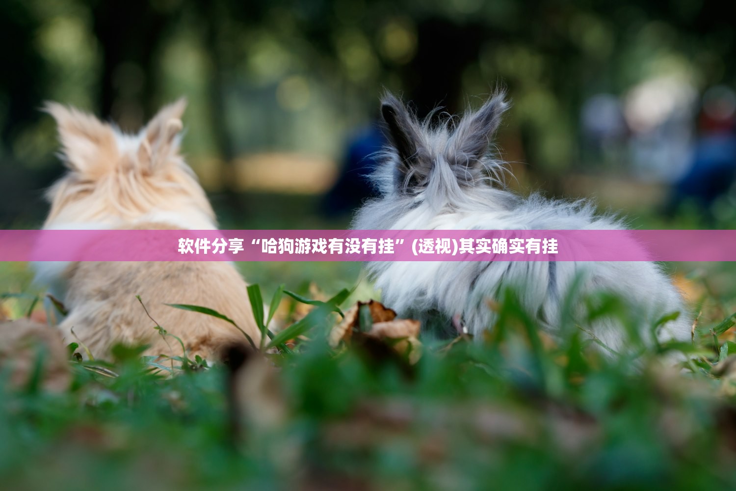软件分享“哈狗游戏有没有挂	”(透视)其实确实有挂
