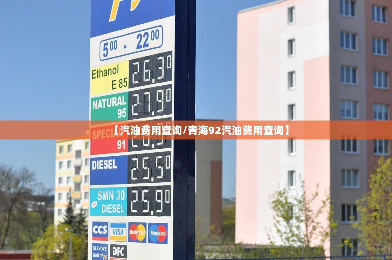 【汽油费用查询/青海92汽油费用查询】